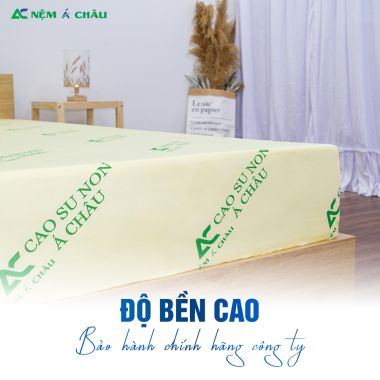 NỆM CAO SU NON Á CHÂU