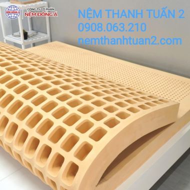 NỆM CAO SU THIÊN NHIÊN 100% ĐÔNG Á