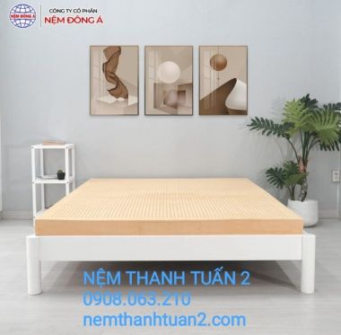 NỆM CAO SU THIÊN NHIÊN 100% ĐÔNG Á