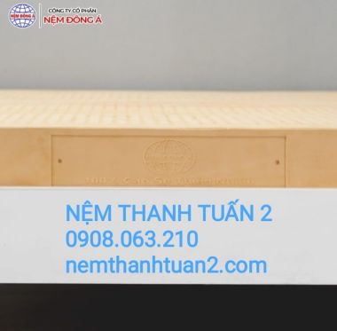 NỆM CAO SU THIÊN NHIÊN 100% ĐÔNG Á