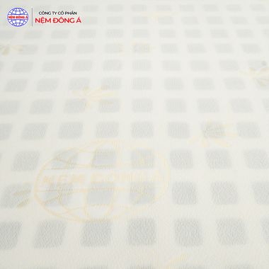 NỆM CAO SU THAN HOẠT TÍNH ĐÔNG Á