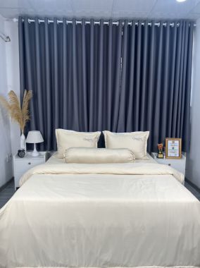 BỘ DRAP LỤA COTTON 1 MÀU CHAGOTA