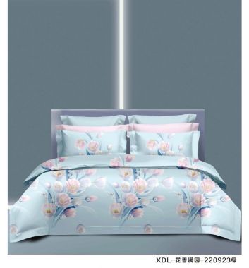 BỘ DRAP LỤA USANA