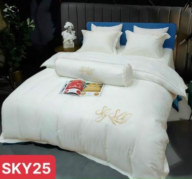 BỘ DRAP LỤA COTTON 1 MÀU SKY SILk