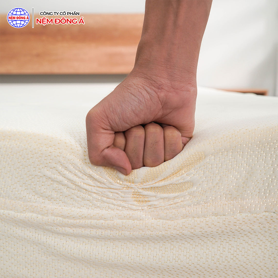 NỆM CAO SU ĐÔNG Á GOLD FOAM