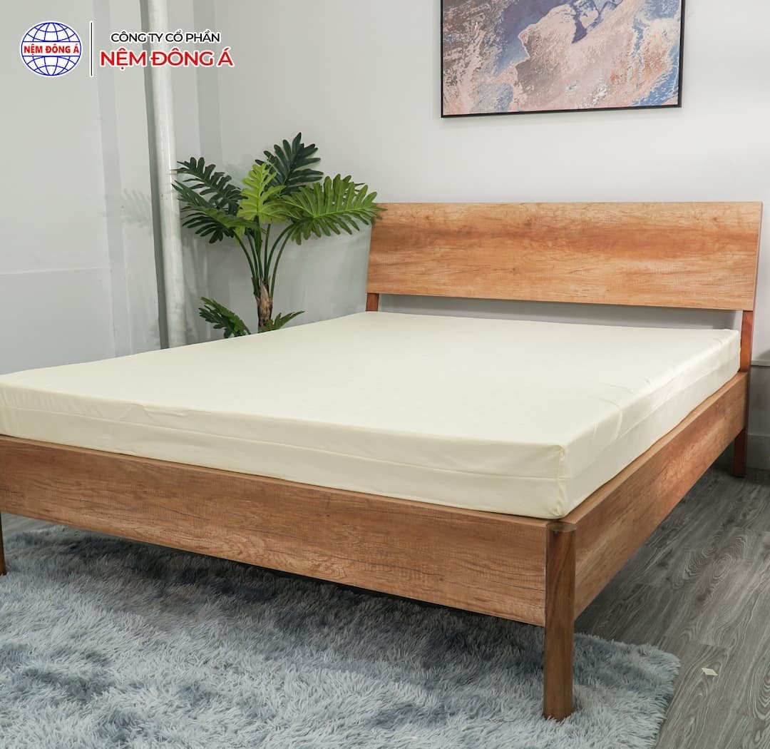 NỆM CAO SU ĐÔNG Á GOLD FOAM