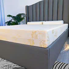 NỆM CAO SU ĐÔNG Á GOLD FOAM