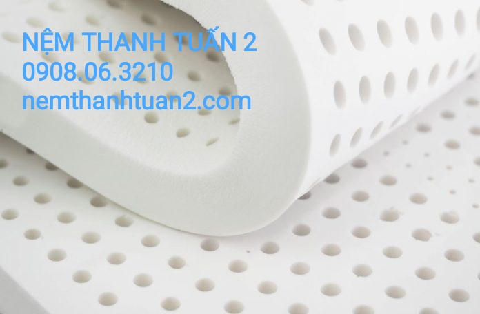 NỆM CAO SU THIÊN NHIÊN LATEX FOAM